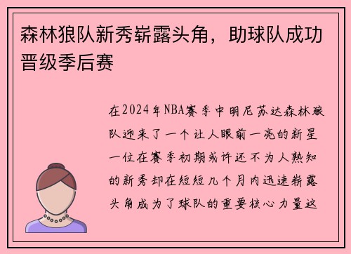 森林狼队新秀崭露头角，助球队成功晋级季后赛